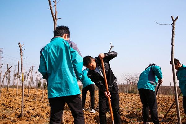 “攜手植樹，共創(chuàng)藍(lán)天”丨南京新華師生共筑新華育才林