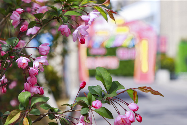 春暖花開，等你歸來——邀你云賞南新春景，以慰思念